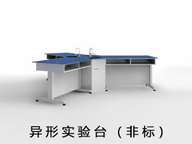 異形實驗臺（非標(biāo)）
