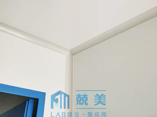 某企業(yè)實驗室潔凈區(qū)